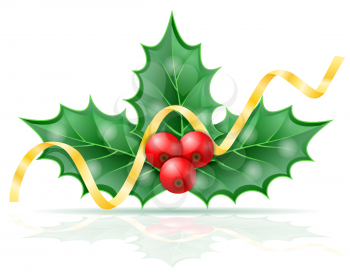 christmas holly berries stock vector illustration isolated on white background