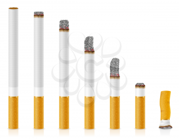 smoldering cigarettes of different lengths stock vector illustration isolated on white background
