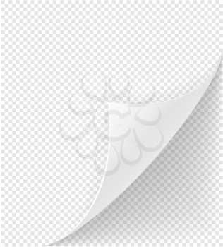 bent corner of paper stock vector illustration isolated on transparent background