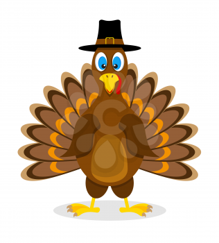 thanksgiving turkey bird stock vector illustration isolated on white background