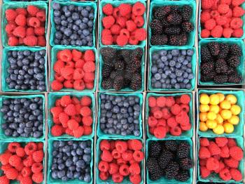 bright berries in boxes from overhead in square pattern
