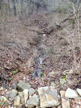 Stream creek in small forest woods countryside water drainage