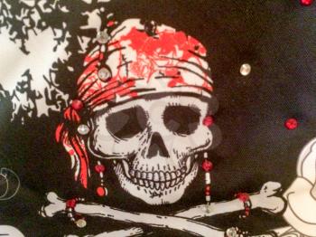 pirate flag jolly roger with skull and cross bones