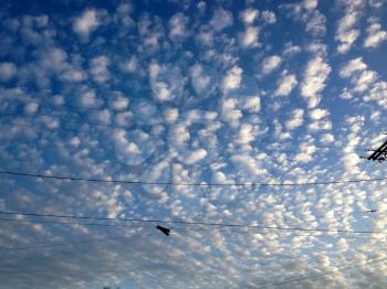 amazing blue sky cirrocumulus astrocumulus clouds and light pole