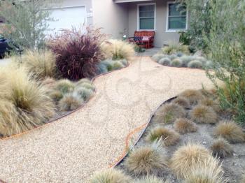 Home landscaping drought heat tolerant plants desert design