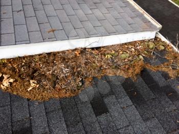 Leaves on rooftop with gutter clogging water on shingles