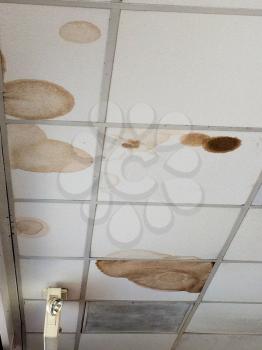 Water stains on ceiling tiles showing leaks above