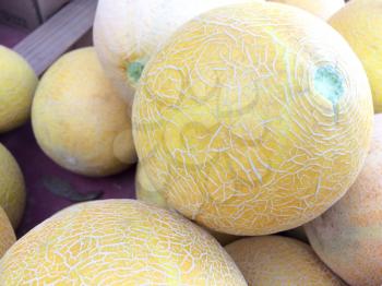 cantaloupe on display for sale at farmers market
