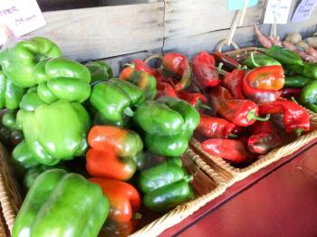 red green bell peppers for sale farmers market