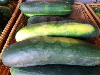 green cucumbers in basket for sale farmers marketplace