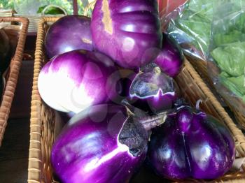purple eggplant in basket for sale farmers marketplace
