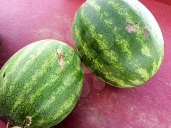 ripe watermelon on display for sale farmers marketplace