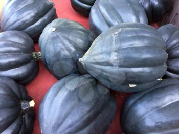 black gourds on display for sale farmers marketplace