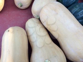 white squash on table for sale farmers marketplace