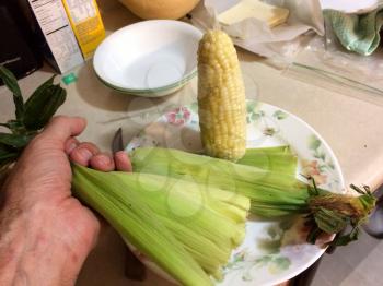 Corn on the cob cooked by stean in kitchen on plate at home
