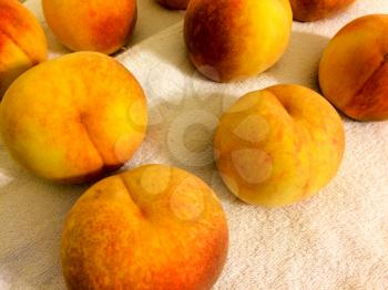 colorful ripe peaches drying on white towel background