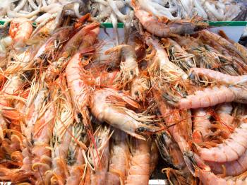 raw red shrimp crawfish whole laid out on white ice at market