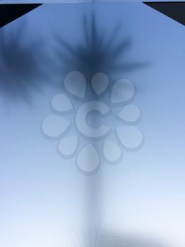 Cool abstract palm tree abstract backround silver gray steel reflection
