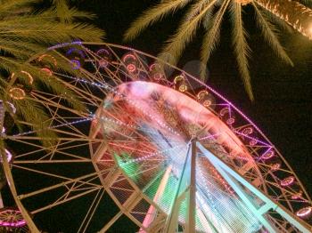 Ferris wheel and palm trees illuminated at night colorful lights glowing