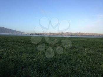 Fertile green rich farmland field by mountain plain crop with morning dew sunrise wet haze fog horizon