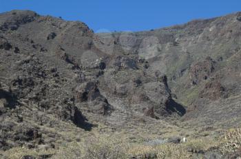 Landscape and horse (Equus ferus caballus). Timijiraque Protected Landscape. Valverde. El Hierro. Canary Islands. Spain.