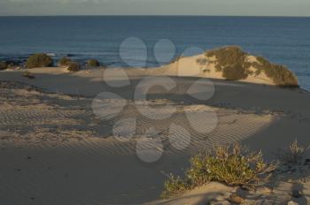 Corralejo dunes. La Oliva. Fuerteventura. Canary Islands. Spain.