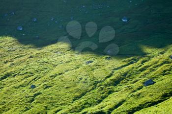 Green grass pattern of Kalsoy, Faroe Islands