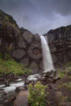 Svartifoss (Black Falls) is a waterfall in Skaftafell in Vatnajkull National Park in Iceland, and is one of the most popular sights in the park.