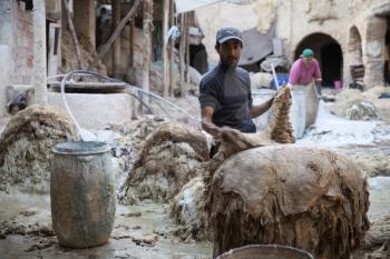 Man working on traditional leather tannery in Fez, Morocco