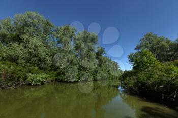 Danube Delta on a bright sunny day next to Tulcea, Romania