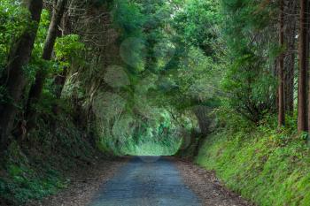 Typical road on Faial Island, Azores, Portugal