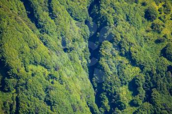 Closeup view of th walls covered with forest of crater of Lagoa das Sete Cidades
