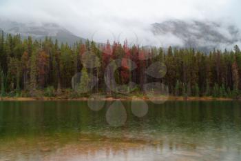 Honeymoon lake on a rainy day, Jasper, Alberta, Canada