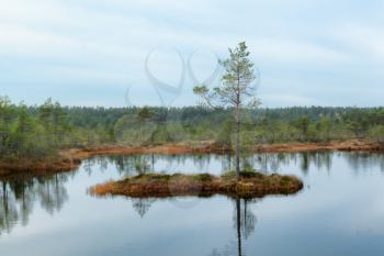 Lake in Viru Raba, Lehemaa National Park, Estonia