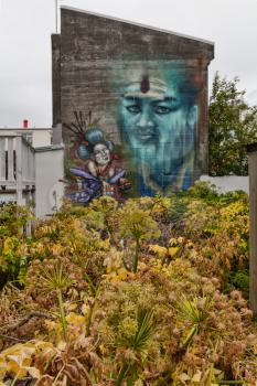 Reykjavik, Iceland - 17 June 2014: Street art in Reykjavik in the thickets of angelica herb