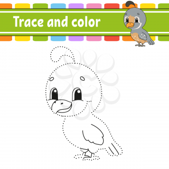 Trace and color. Quail bird. Coloring page for kids. Handwriting practice. Education developing worksheet. Activity page. Game for toddlers. Isolated vector illustration. Cartoon style.