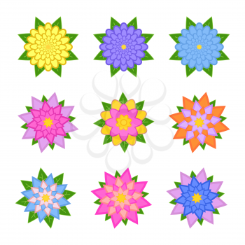 A set of beautiful colorful flowers. Isolated on white background. Nine variants. Suitable for design.