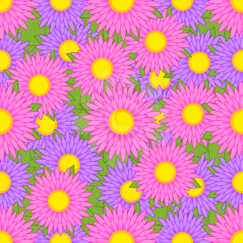 Seamless pattern from purple and pink asters with green leaves on a green background