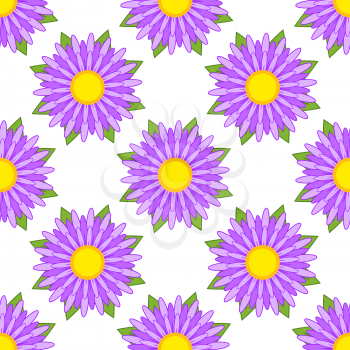 Seamless pattern of striped asters of purple with green leaves on a white background