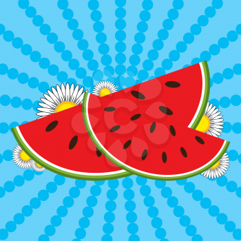 Red watermelon slices and flowers on a striped blue background.