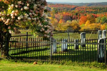 View of cemetery during fall season