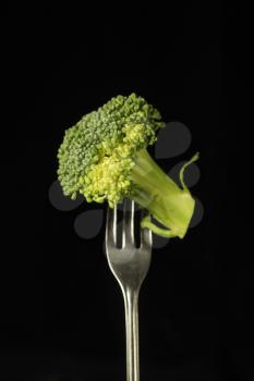 Broccoli on a fork on a black background