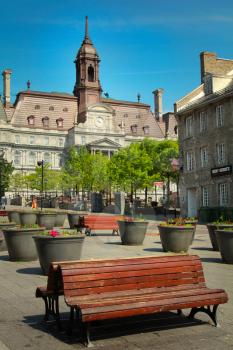 Wooden bench on Jacques Cartier square in Montreal with the city hall in background
