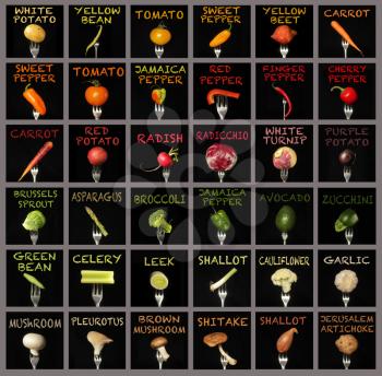 Colorful vegetables collage with names on black background