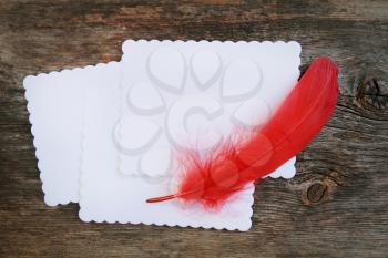 Red feather on a blank white paper. Wooden background.