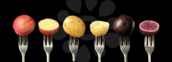 Three kind of potato on a fork on a black background