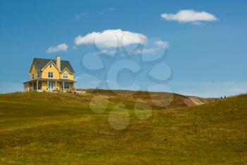 Beautiful yellow on a butte of Havre aux maisons in magdalen island in Quebec, Canada