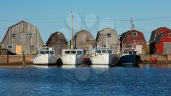 Blue fishing boat in front of oysters barns in Malpeque, Prince Edward island also called PEI