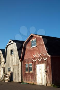 Oysters barns in background  in Malpeque, Prince Edward island also called PEI
