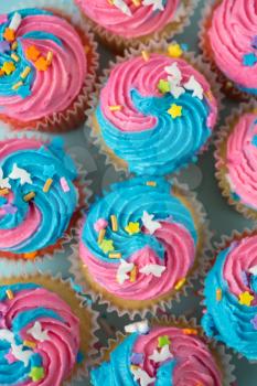 Top view of cupcakes with blue and pink icing on a blue background